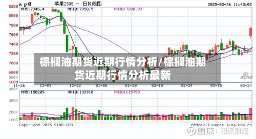 棕榈油期货近期行情分析/棕榈油期货近期行情分析最新-第2张图片
