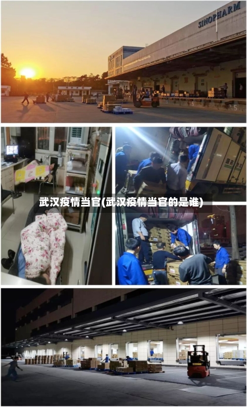 武汉疫情当官(武汉疫情当官的是谁)-第3张图片