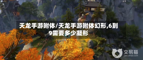 天龙手游附体/天龙手游附体幻形,6到9需要多少凝形