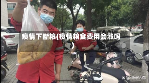 疫情下断粮(疫情粮食费用会涨吗)-第2张图片