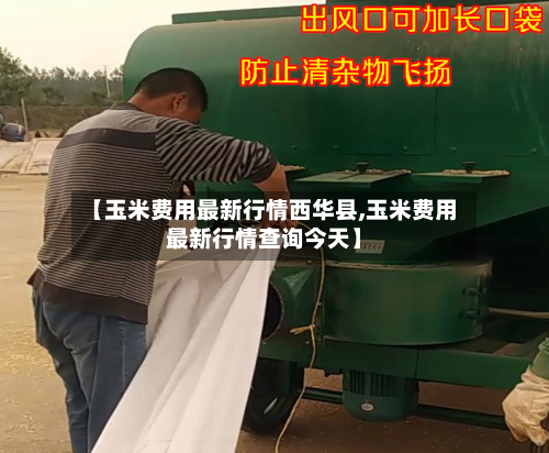 【玉米费用最新行情西华县,玉米费用最新行情查询今天】