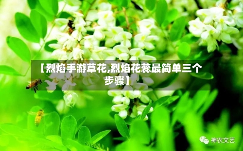 【烈焰手游草花,烈焰花蕊最简单三个步骤】