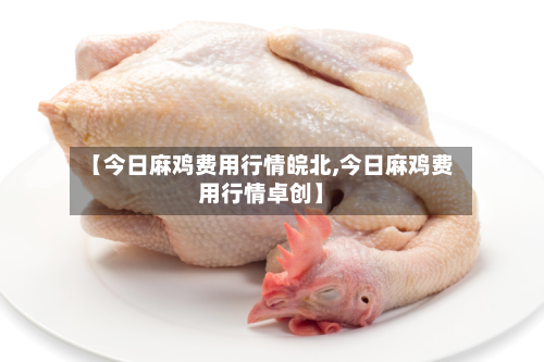 【今日麻鸡费用行情皖北,今日麻鸡费用行情卓创】-第2张图片