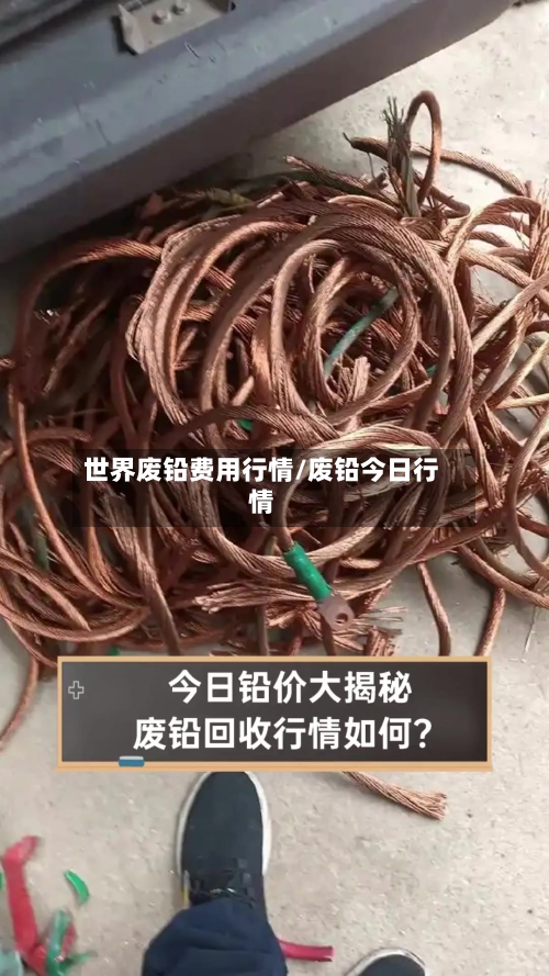 世界废铅费用行情/废铅今日行情