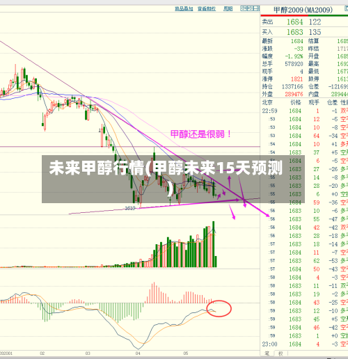 未来甲醇行情(甲醇未来15天预测)-第3张图片